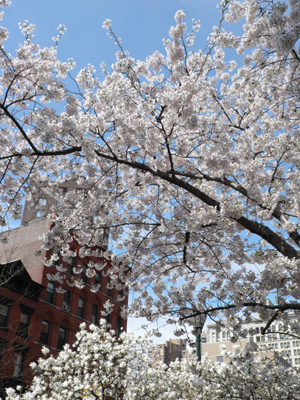 blog041009a.jpg