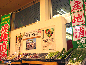 blog112309a.jpg