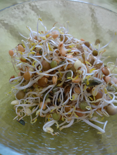 cafeblo040412.jpg