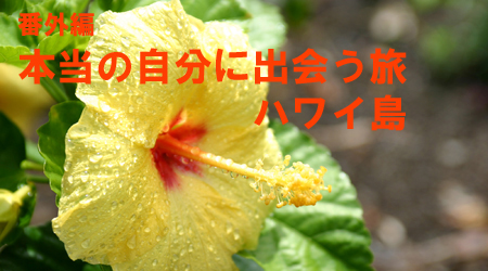 cafeblo_hawaii.jpg