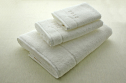 blog082812b.jpg